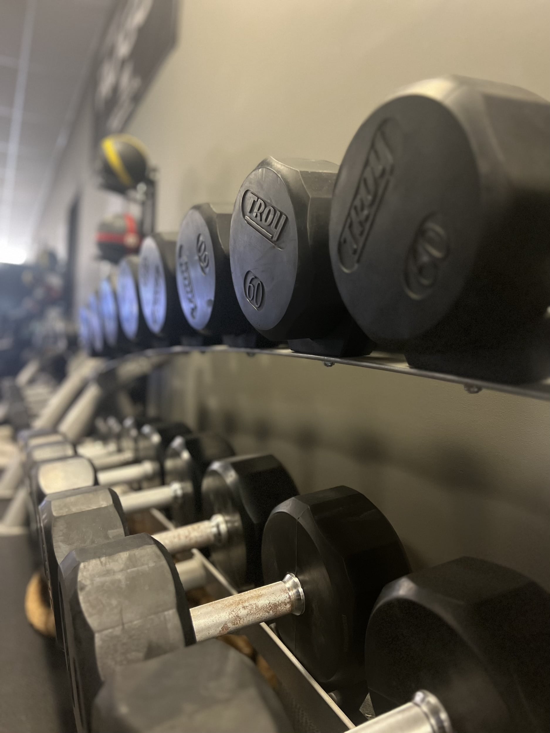 Gracie Barra Anniston personal training weights